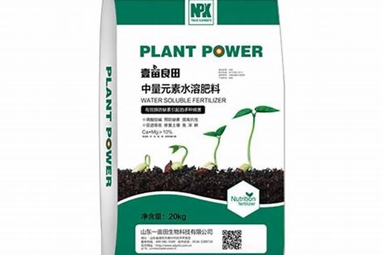 柑橘着色快增甜快用什么药