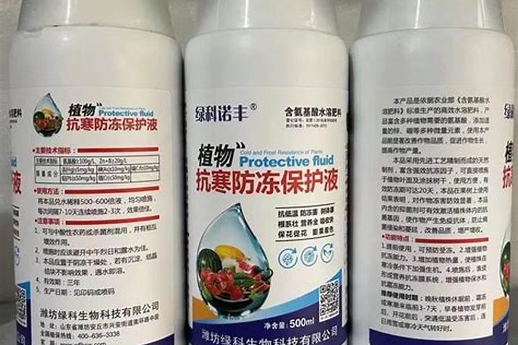 追施速效肥料和喷施叶面肥,就能改善遇到倒春寒的小麦？