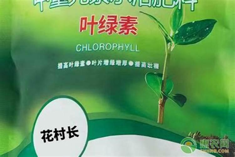 碗豆苗用什么肥料好