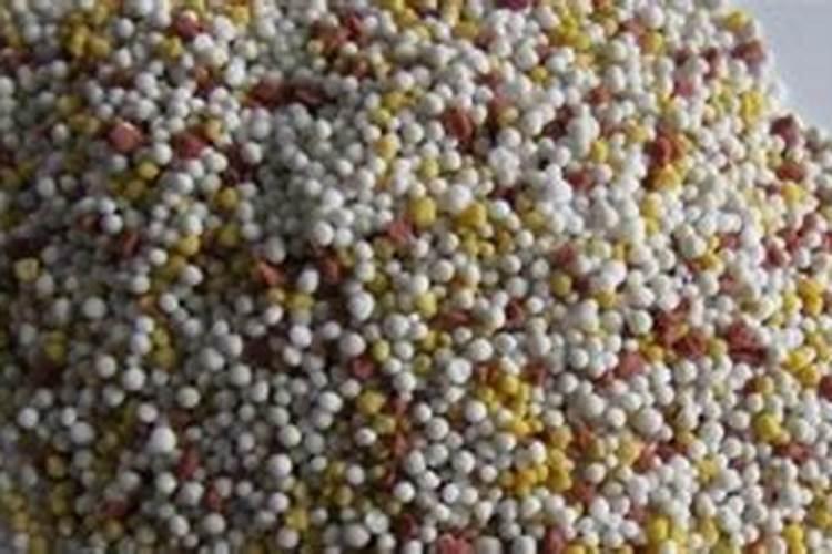 梨树打什么药好