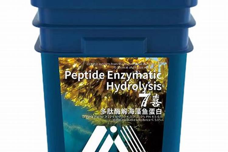 刚买回来的蓝莓苗要怎么处理