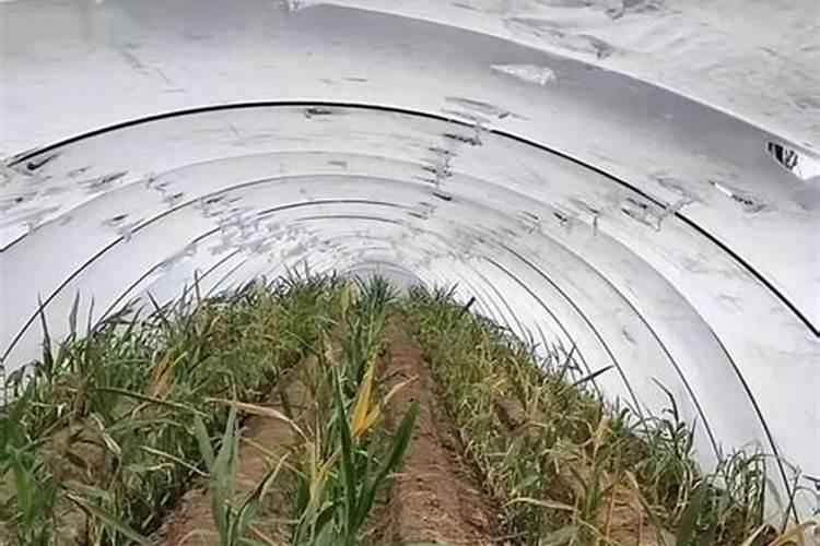 谁能翻译如下英文？化妆品说明书.不知道怎么用.呵呵。