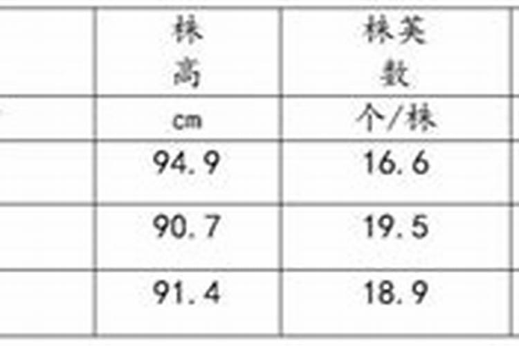 梅花施肥用哪种肥料,梅花施肥时间和方法