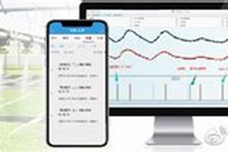 莴笋怎么施肥莴笋施肥规律