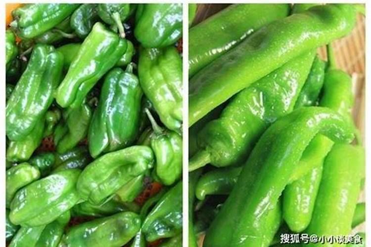 青椒用什么肥料最好