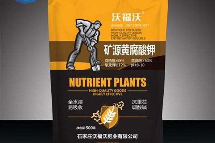 垂丝樱花材施多少肥