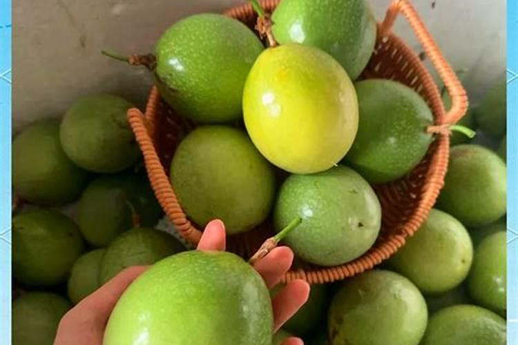 一颗百香果苗用50克硼肥会不会导致硼中毒？