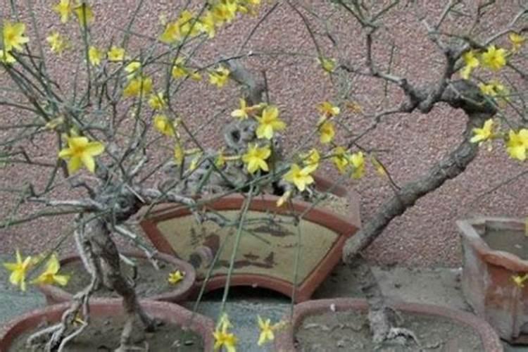 县级氮肥厂为什么倒闭了