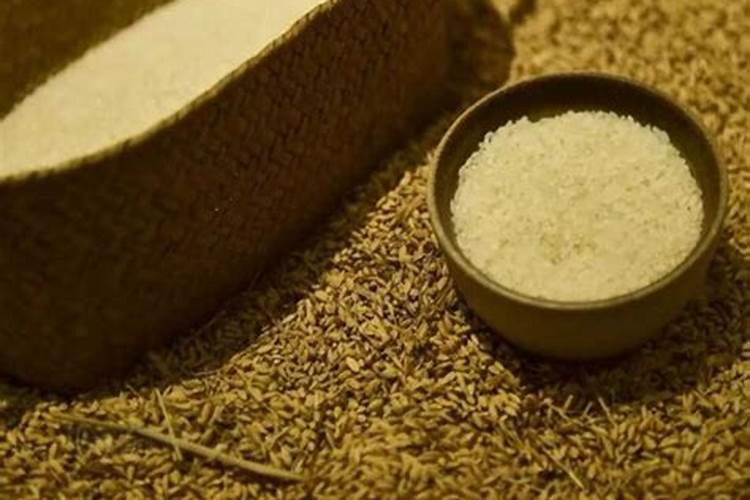 实用的大棚蔬菜防“三害”,冷冬太实用了!