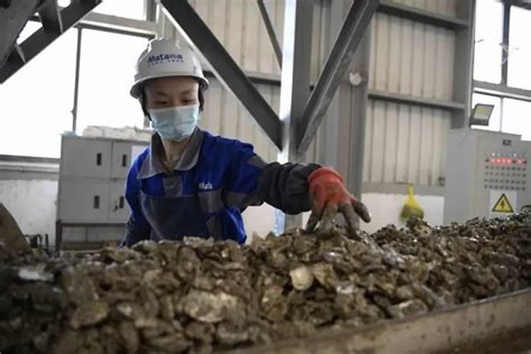 三角梅施什么肥最好三角梅最好施什么肥