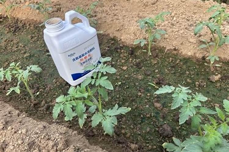 一吨水可以用芸苔素内酯原药多少量在荔枝上少克？