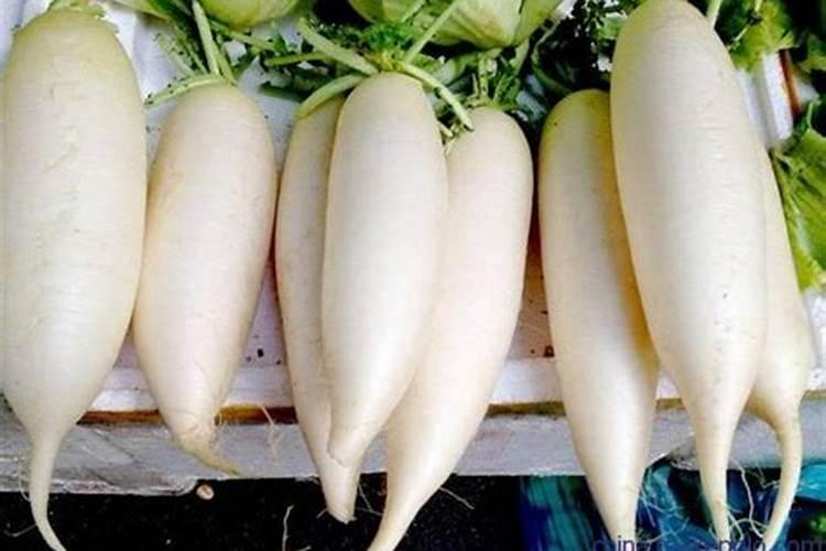 想要大面积种植豆角,豆角的水肥管理技术要点有哪些？