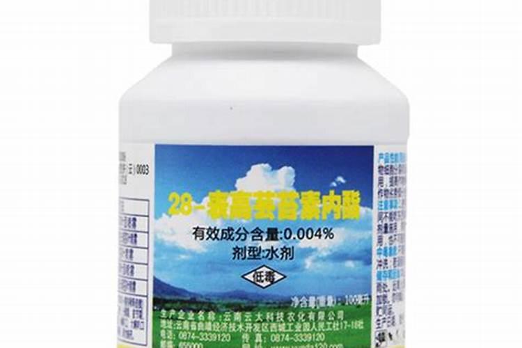 什么是水解蛋白饵？揭秘水解蛋白饵的垂钓效果