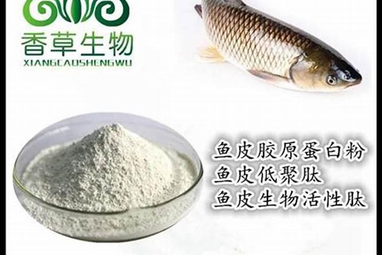 黑坑特效钓鱼小药的成分都有什么呢？