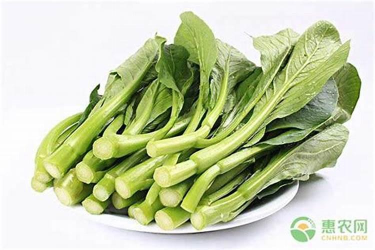 ...白菜,瓢儿菜,菜心等蔬菜,要用什么叶面肥,什么药治虫,治各种疾病百 ...