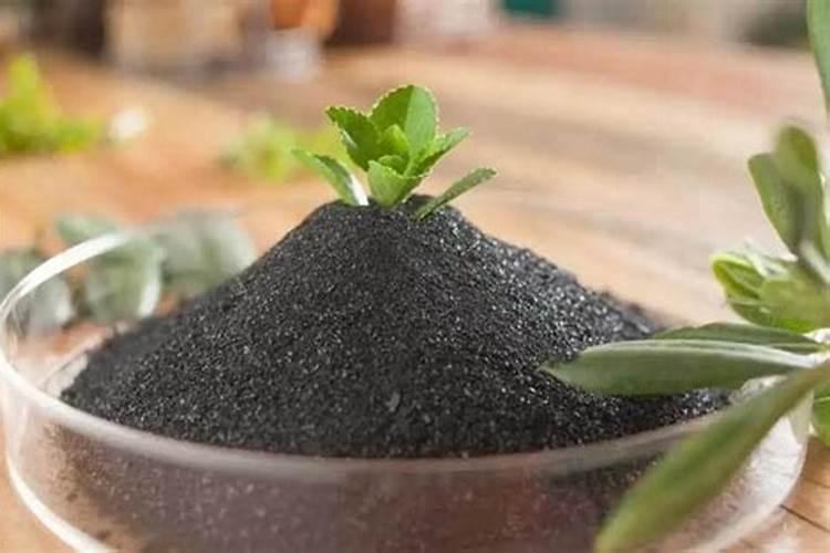 种豌豆尖用什么肥料才长得壮？