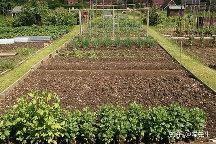 提高土壤肥力的措施