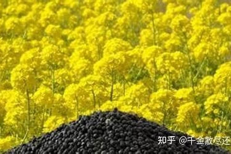 大量元素水溶肥有什么作用