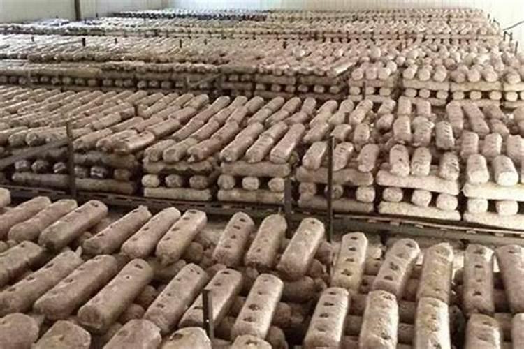 水溶肥哪个厂家好