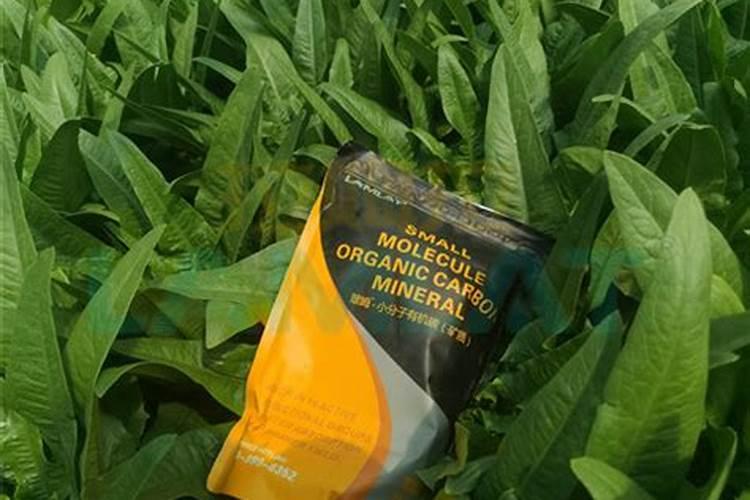 柳叶菜功能主治