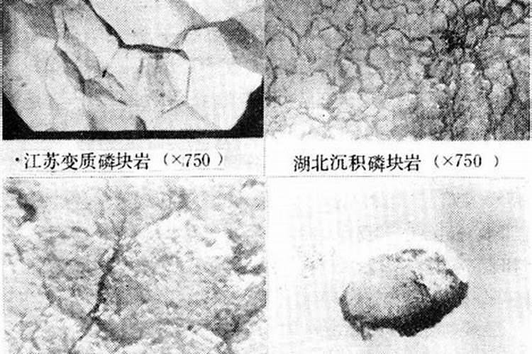 初三化学如何简易鉴别化肥