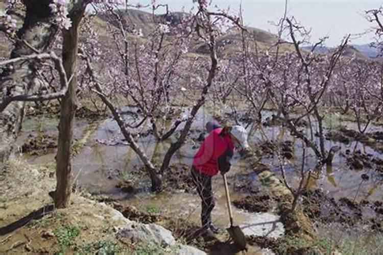 钾肥怕太阳晒吗