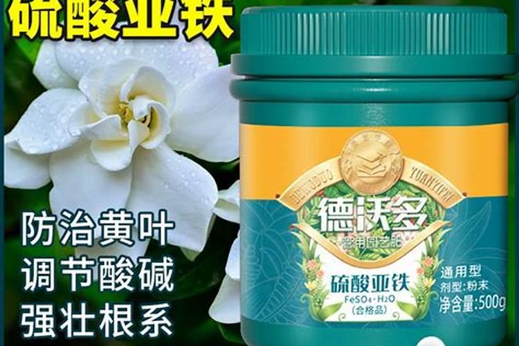 尿素可以用来给栀子花施肥吗