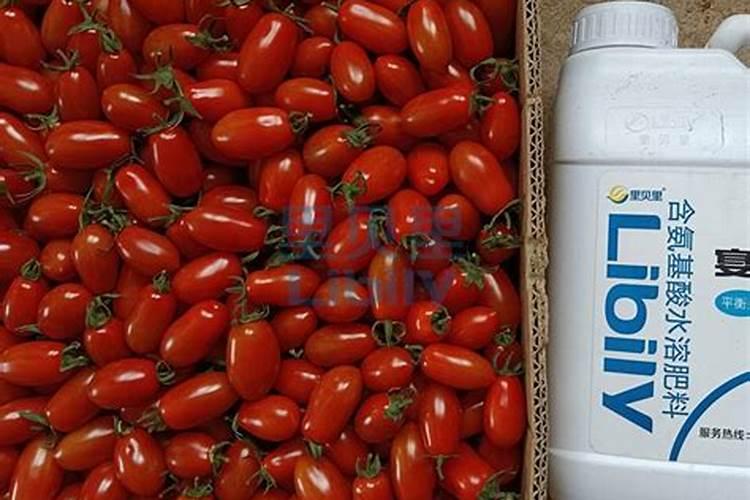 土豆水溶肥的使用方法 有哪些好处