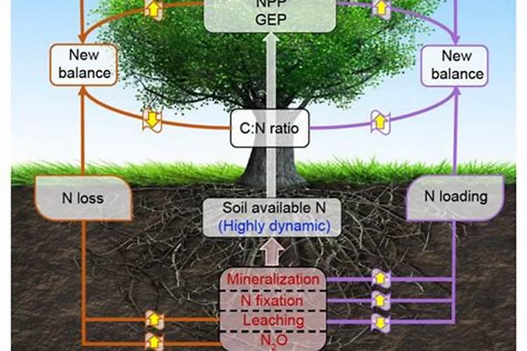 磷酸二氢钾的6个黄金搭档,用对了效果翻倍!