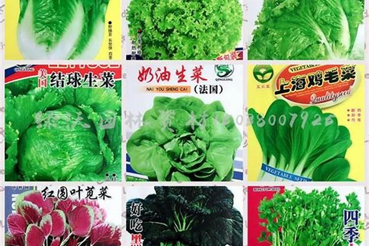 哪些植物需要钾肥