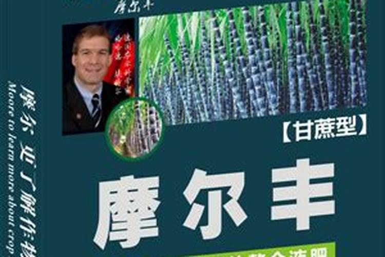 种花生用什么肥料最好高产