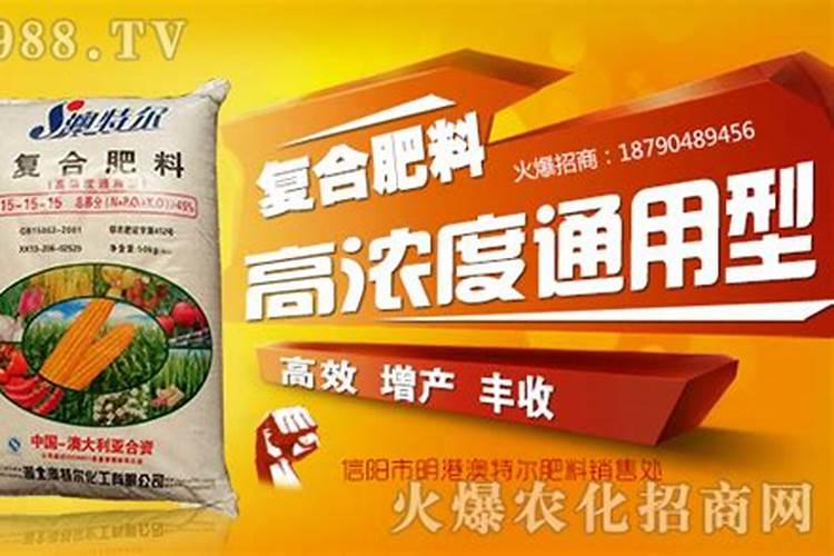 bucket外套是什么牌子