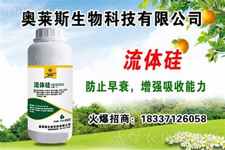 AU小蓝桶是真的吗？