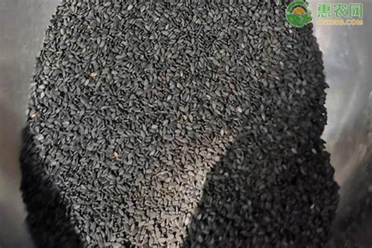芝麻价格最新市场行情怎么样？种植施肥技术要点有哪些？