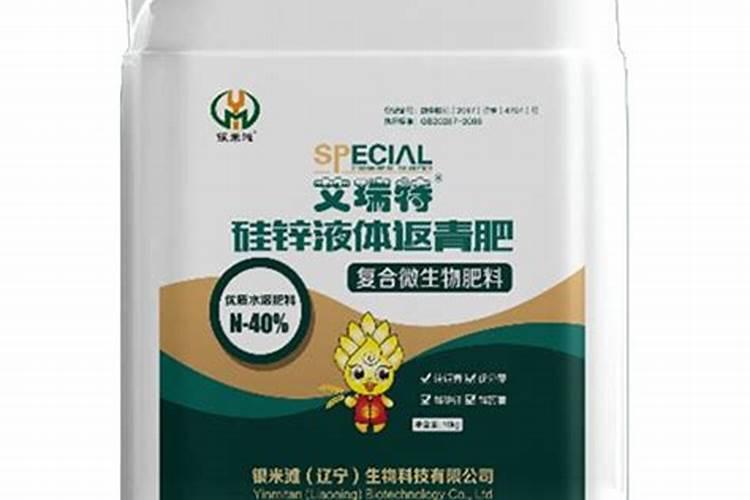 蔷薇叶子发黄怎么办