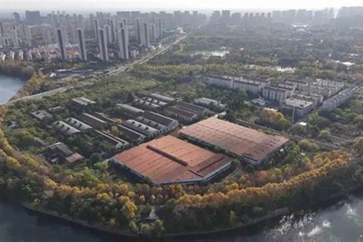 磷肥是指哪些肥料