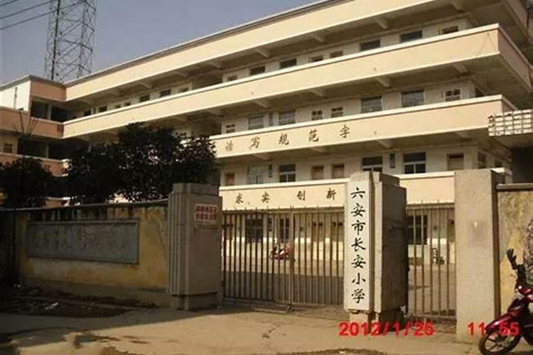 紫藤苗多少钱一棵？紫藤哪个品种最好看？