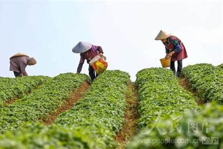 结核性脑膜炎晚上睡觉胸闷是什么原因