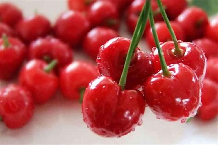 樱桃施什么肥最大最甜