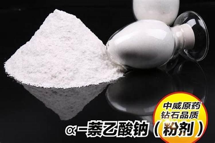 60的缸用多少基肥？