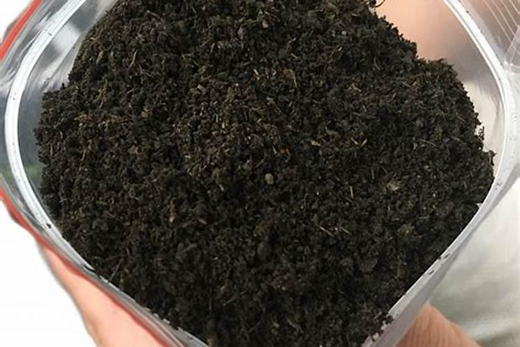 二铵与尿素哪种肥料喂玉米好一些？