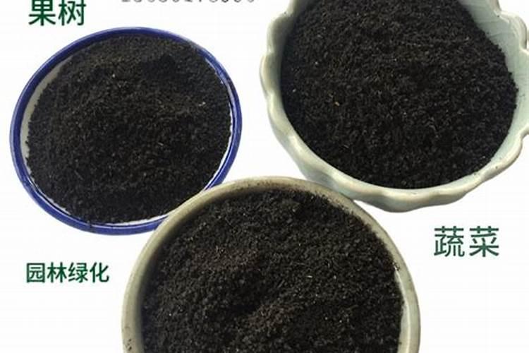 玉米专用复合肥能在土壤表面使用吗