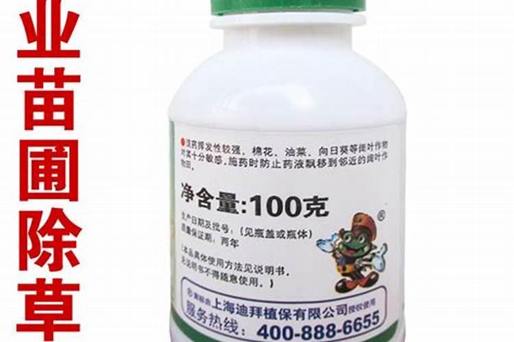 萱草不开花的原因？