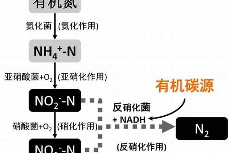 烧烤剩下的炭灰有什么用途么竹炭烧烤后的灰能当肥料吗？
