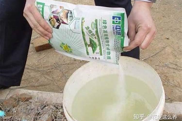 长期使用微波炉加热食物会致癌？