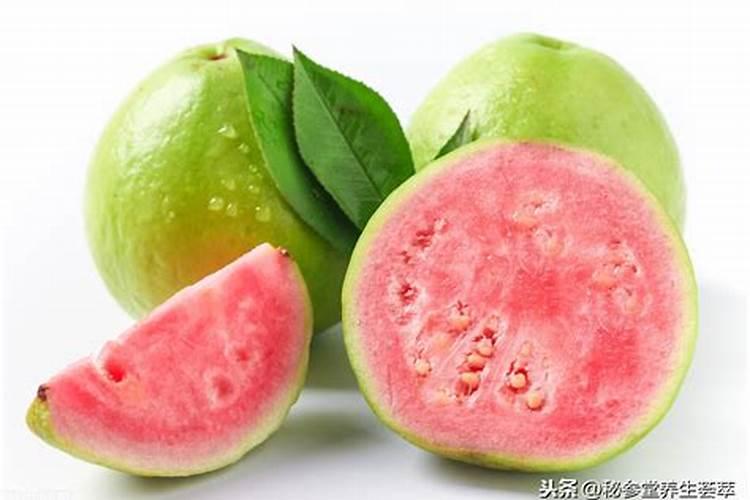 最好的兰花杀菌药