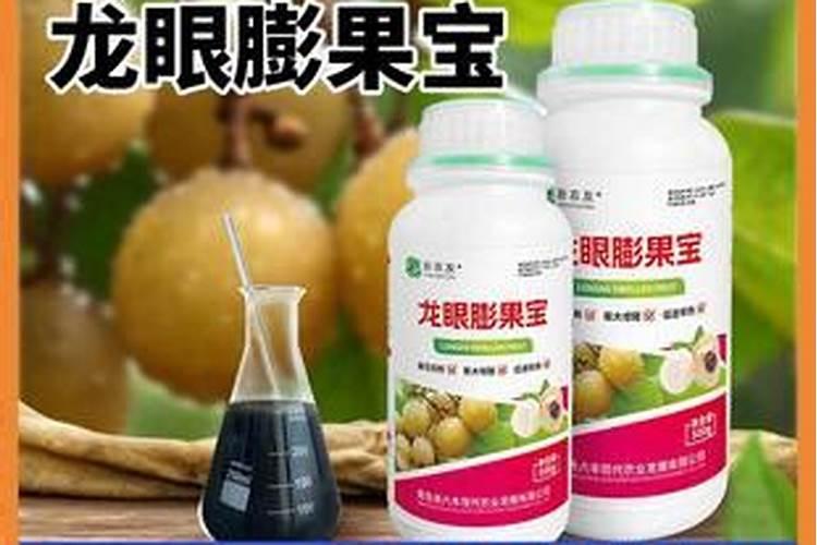 龙眼喷什么叶面肥果子大个