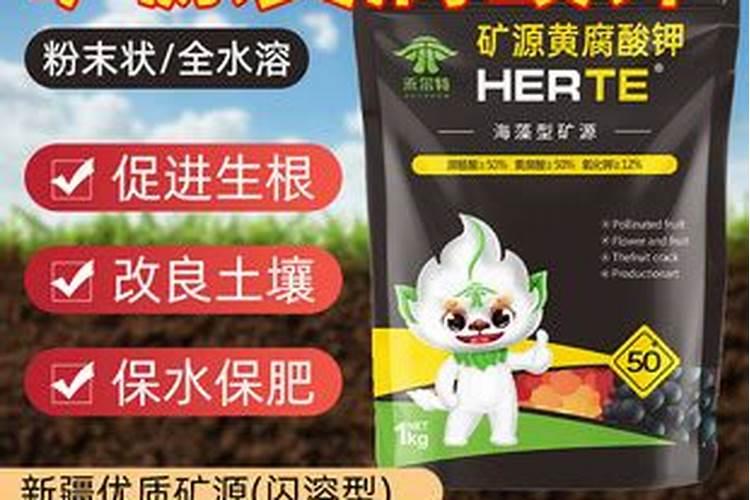 什么是功能性肥料