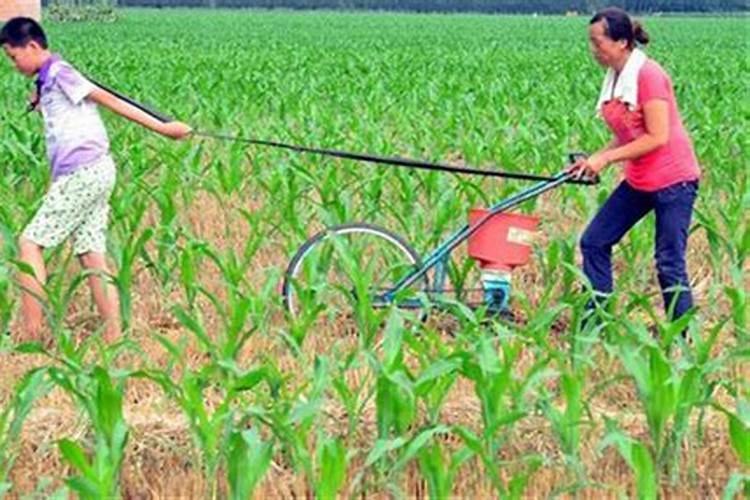 氮肥的用法即简单又难用