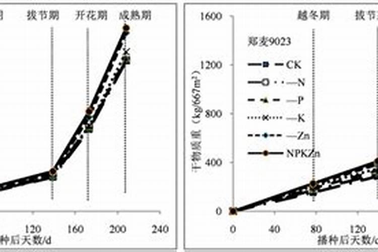 小麦复合肥的最佳配方 小麦复合肥的最佳配方是什么